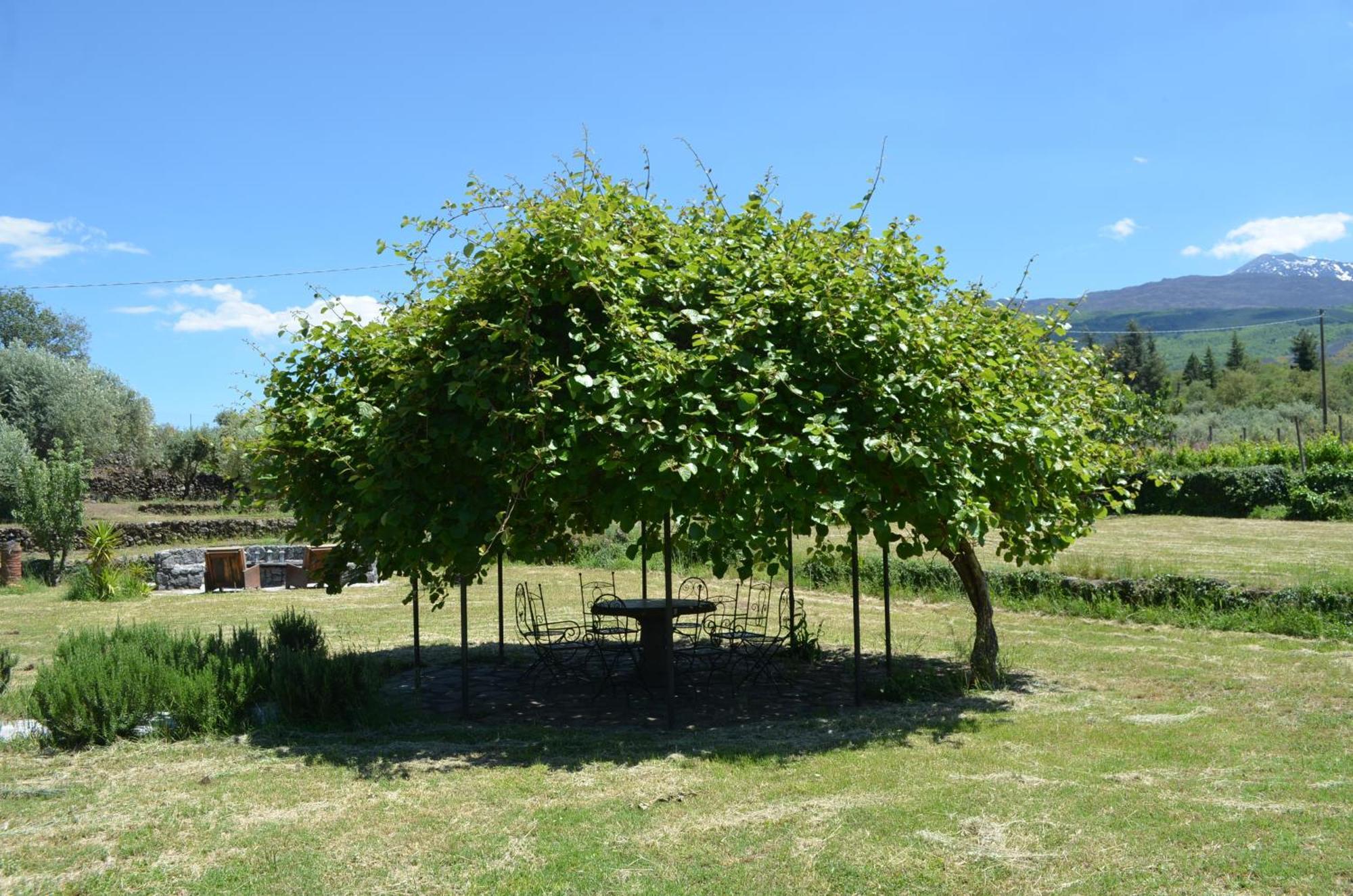 Villa Veda Randazzo Dış mekan fotoğraf