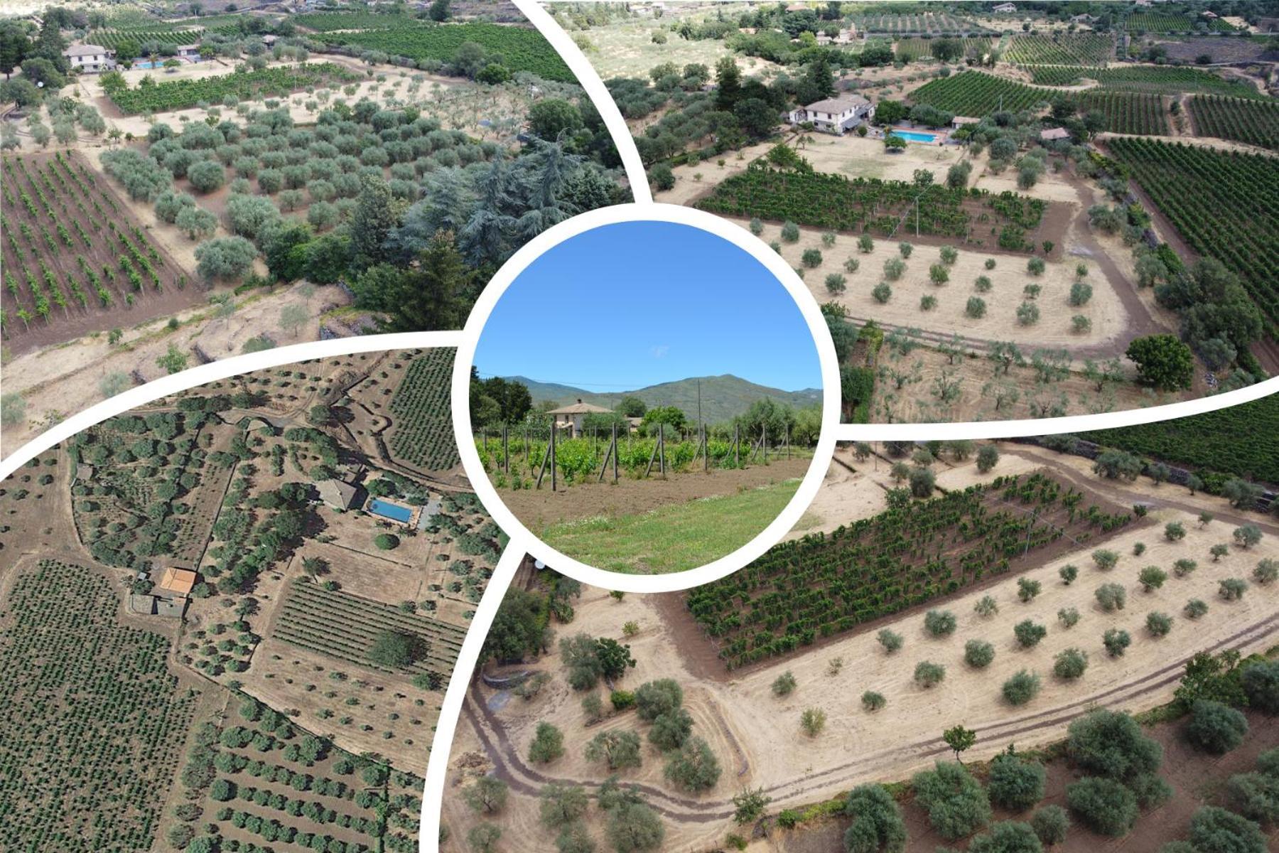 Villa Veda Randazzo Dış mekan fotoğraf
